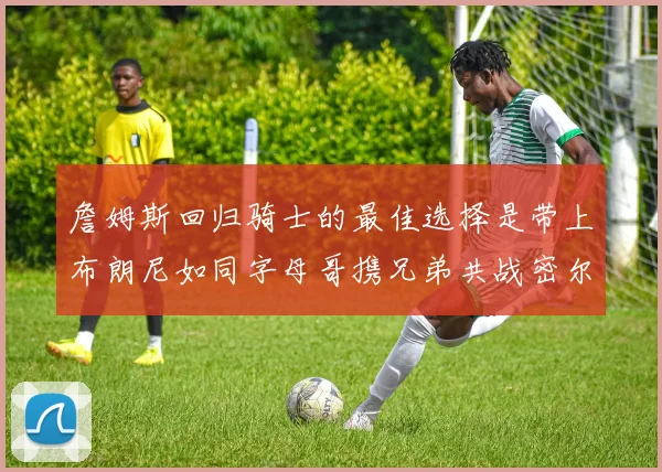 詹姆斯回归骑士的最佳选择是带上布朗尼如同字母哥携兄弟共战密尔沃基