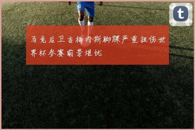马竞后卫吉梅内斯脚踝严重扭伤世界杯参赛前景堪忧