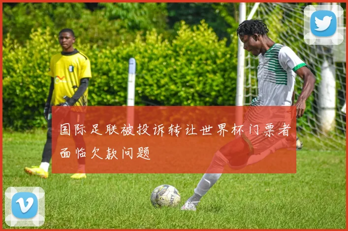 国际足联被投诉转让世界杯门票者面临欠款问题